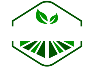Artificial Turf Fort Mill logo. The logo is outlined with a diamond and has the words Artificial Turf inside. Above the words there is a picture of a leaf. below the words there is an image of a two-toned turf landscape. Underneath the diamond outlined the word Fort Mill appears.